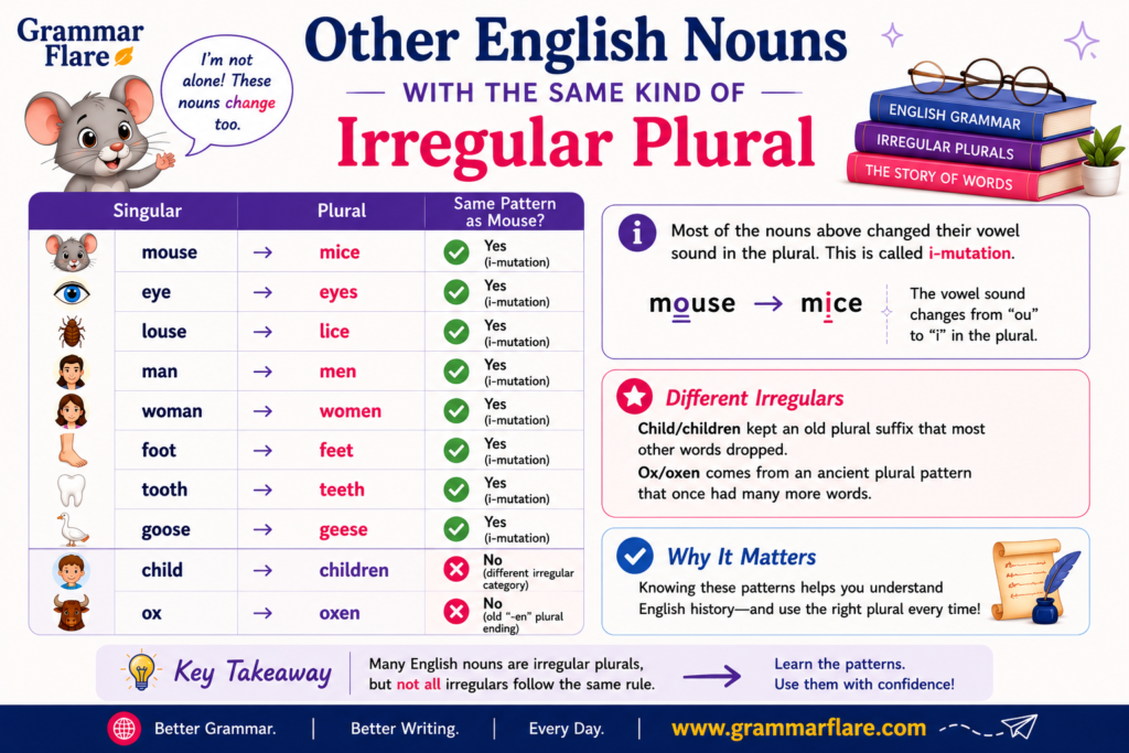 Other English Nouns With the Same Kind of Irregular Plural